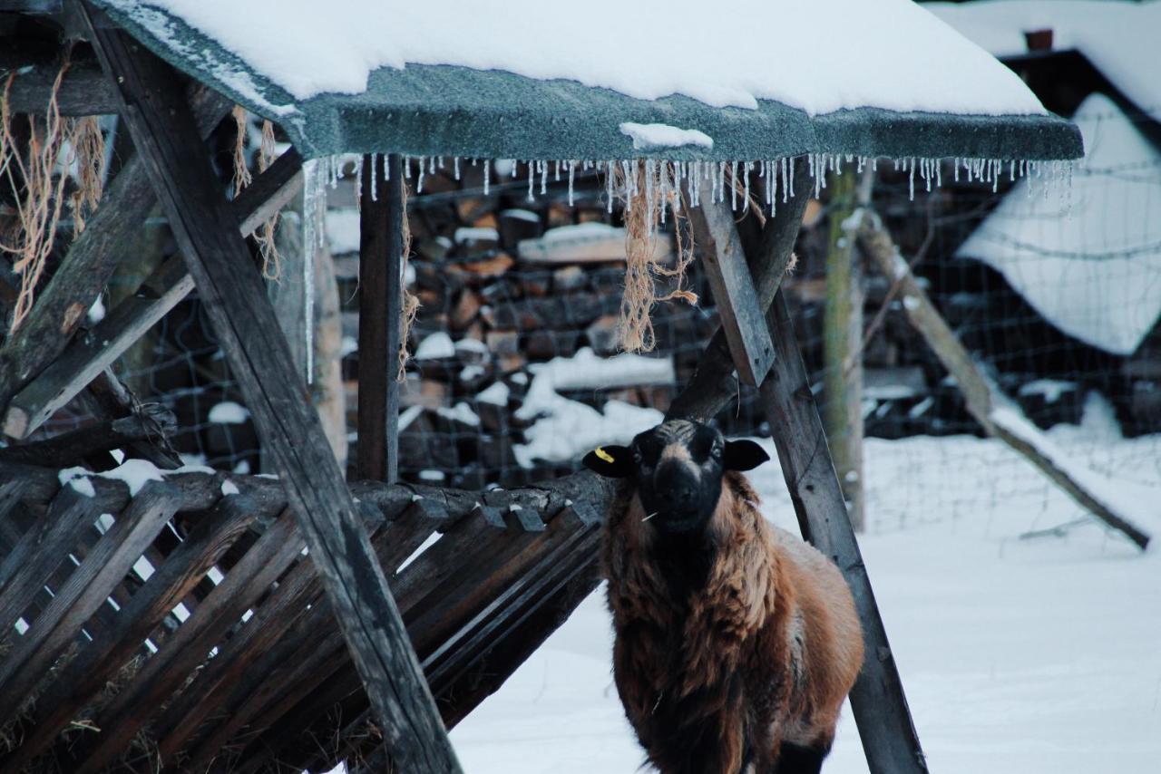 Landgasthof Zur Wildbahn Burg  Luaran gambar
